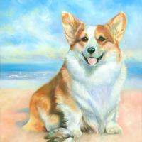 corgi